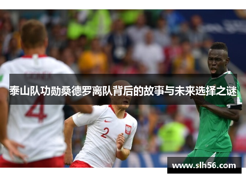 泰山队功勋桑德罗离队背后的故事与未来选择之谜