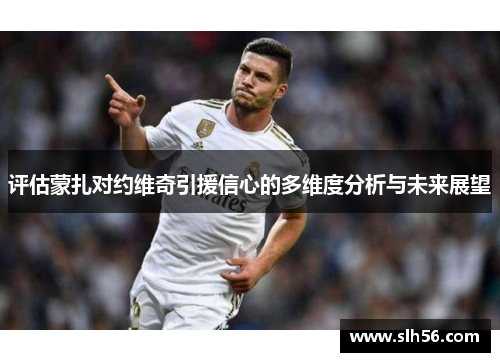 评估蒙扎对约维奇引援信心的多维度分析与未来展望