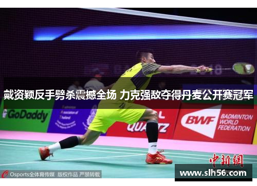戴资颖反手劈杀震撼全场 力克强敌夺得丹麦公开赛冠军